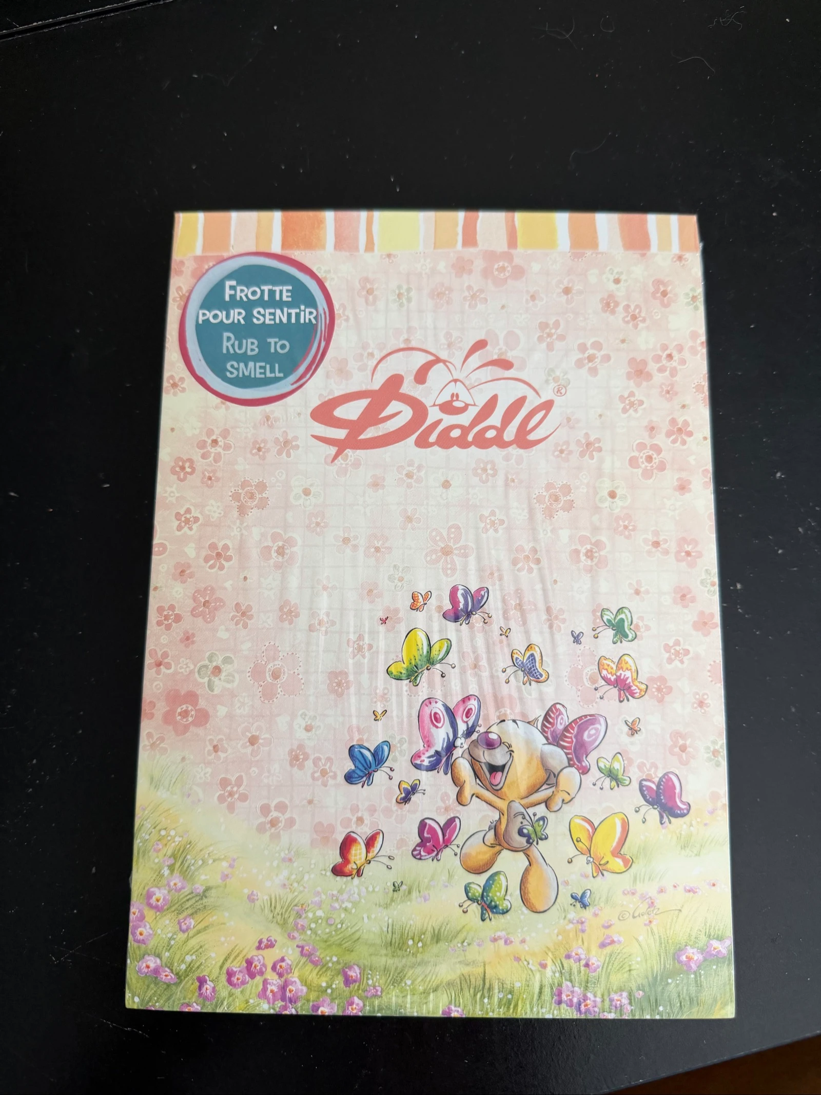 Bloc Diddl Pimboli format A5 , complet et neuf - collection Summer 